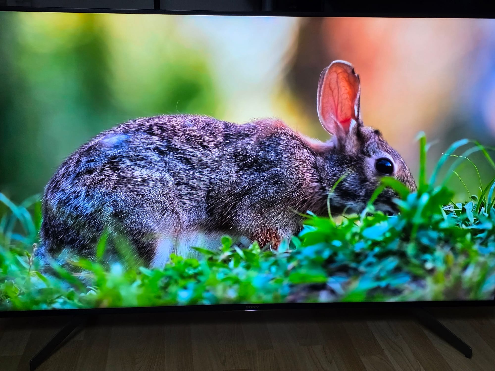 Imagine de înaltă rezoluție pe ecranul televizorului Sony după finalizarea depanării electronice.